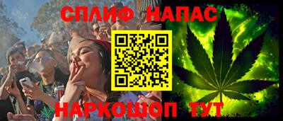 гашик Гай