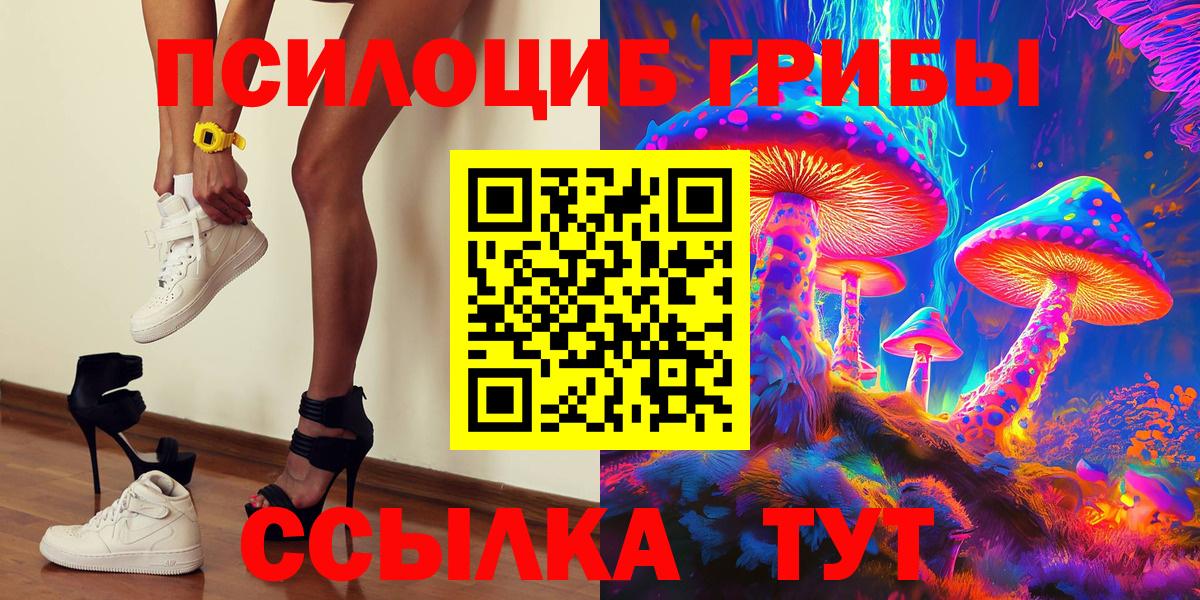 Псилоцибиновые грибы GOLDEN TEACHER Нерюнгри